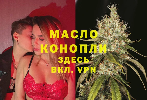 гидра Долгопрудный