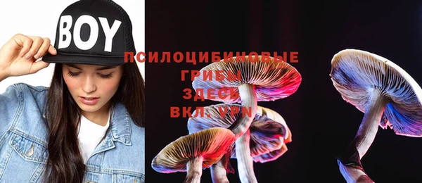 гашиш Ладушкин