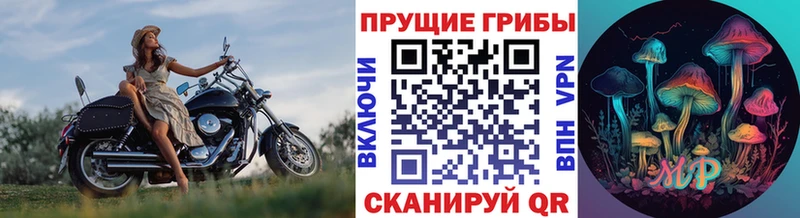 Галлюциногенные грибы мицелий МЕГА ССЫЛКА Усть-Джегута