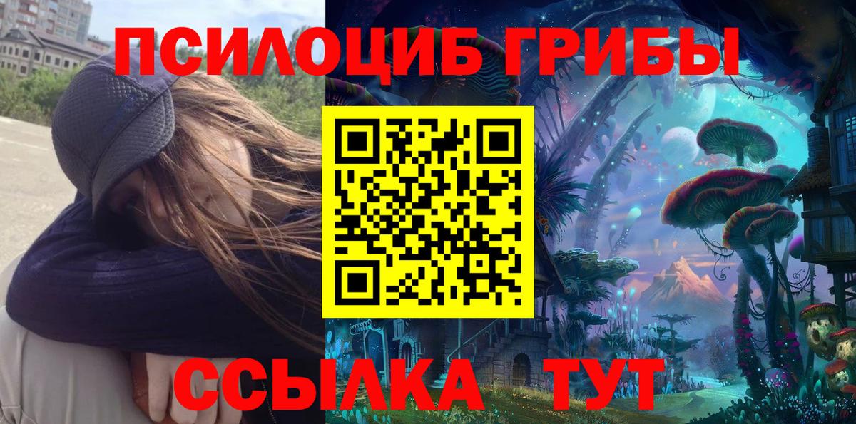 Псилоцибиновые грибы Cubensis  Вход с VPN  Усть-Джегута 